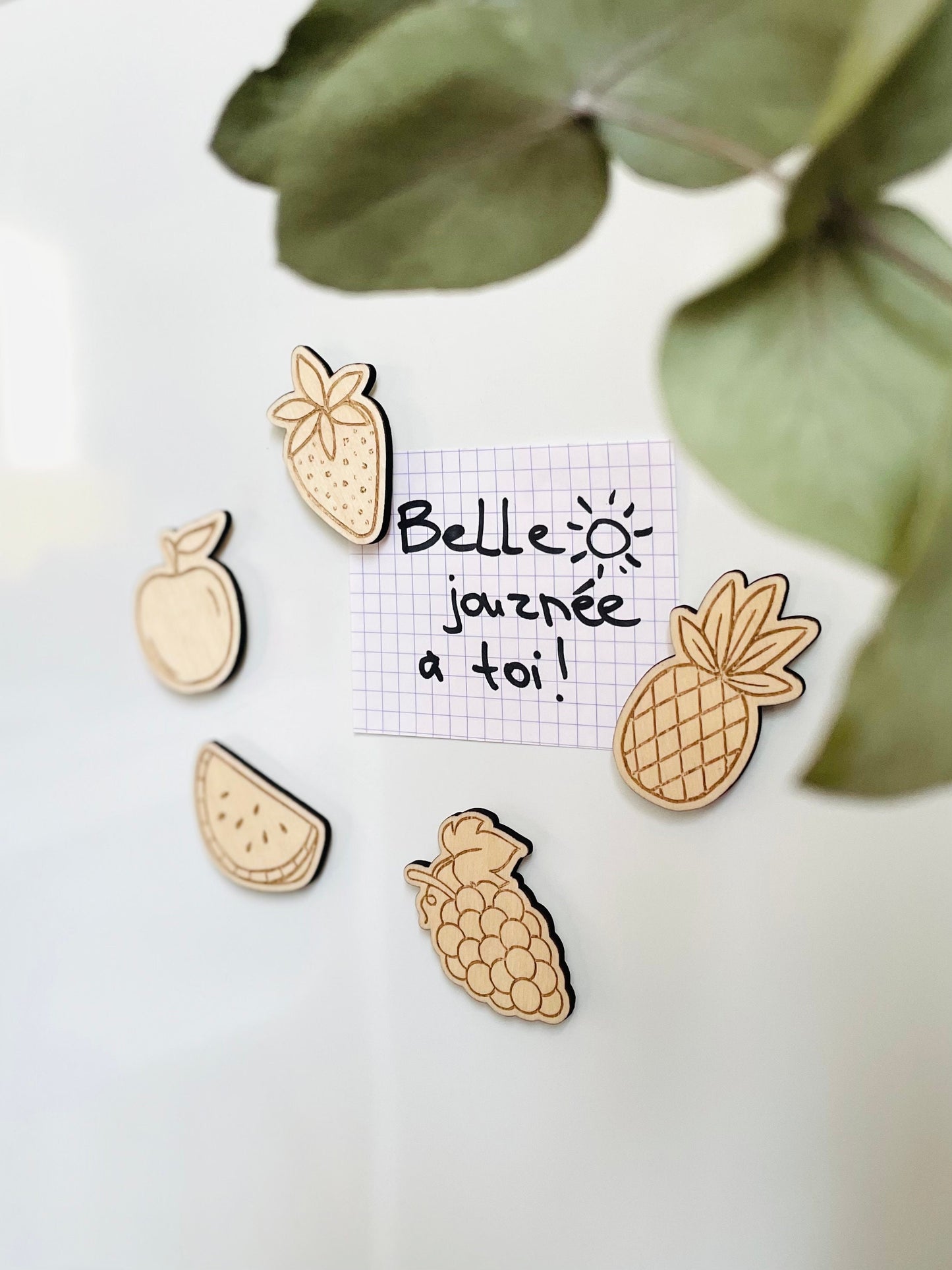 Ensemble d’aimants de réfrigérateur "Fruits"